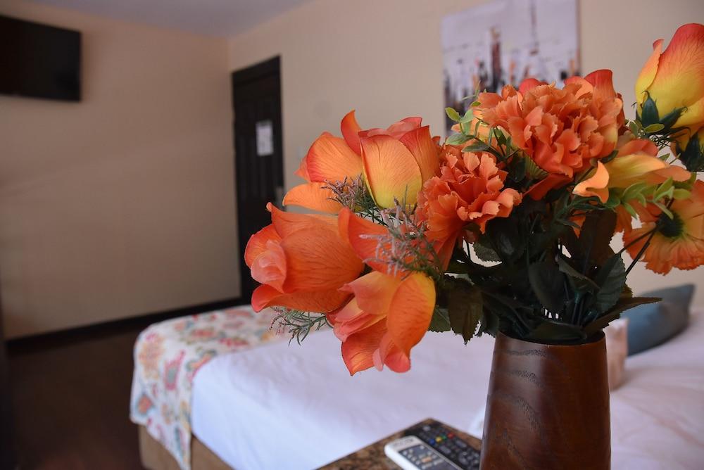 Hotel Casa Colon San Jose  Eksteriør bilde
